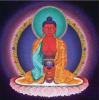Amitabha : Red Buddha of Infinite Light by Sherab (Shey) Khandro